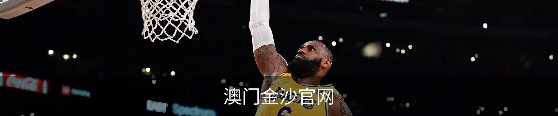 澳门金沙官网